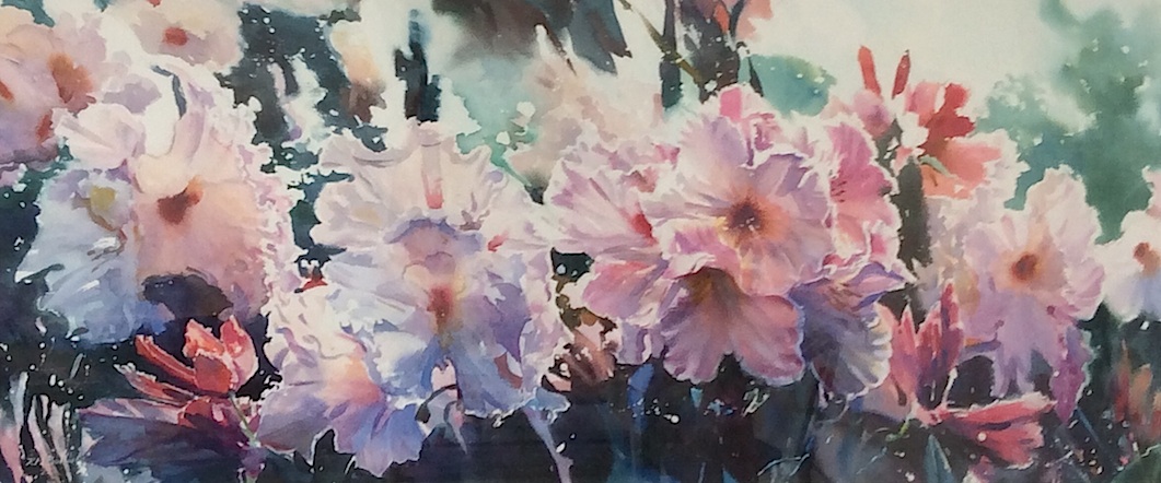 Richard  Botlon |Pink Rhody  watercolour | McAtamney Gallery and Design Store | Geraldine NZ